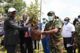 Tree planting exercise held on 18th May 2021